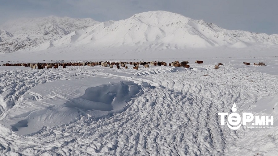 Ойрын өдрүүдэд цас орж шөнөдөө -43-48 градус хүрч хүйтэрнэ