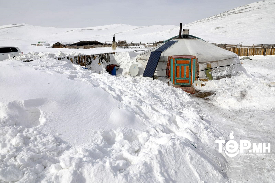 Нийт 20 аймгийн 192 сум, нийслэлийн 2 дүүрэгт өвөлжилт хүндэрч, 1.5 сая мал хорогдоод байна