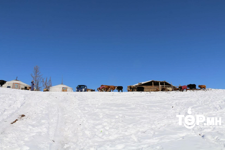 Зудын эрсдэлийн үнэлгээгээр бага, дунд эрсдэлтэй нутгийн хэмжээ нэмэгдсэн байна