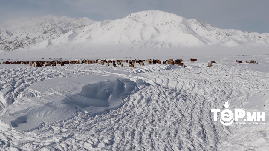 Баян-Адрага, Норовлин сумдын нутгаар 10-15 см буюу хамгийн зузаан цасан бүрхүүлтэй байна