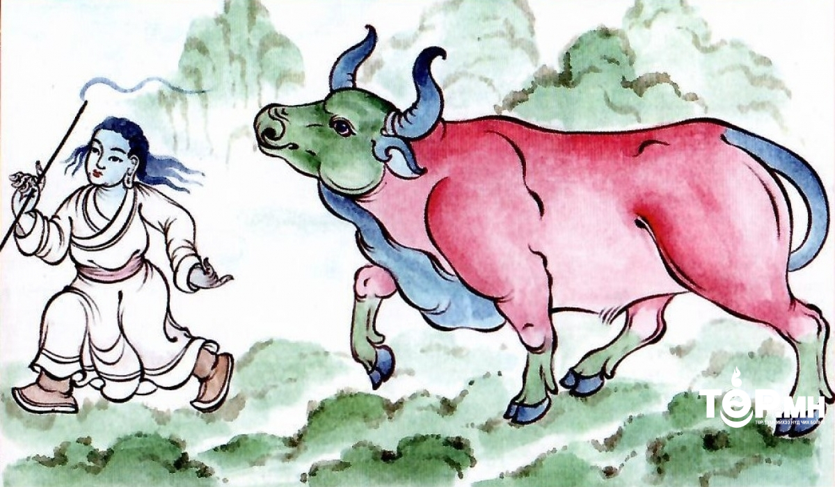 Идэр залуу хүмүүнд амгалантай, нялхаст дунд зэрэг, өндөр настай хөгшид биеэ энхрийлүүштэй