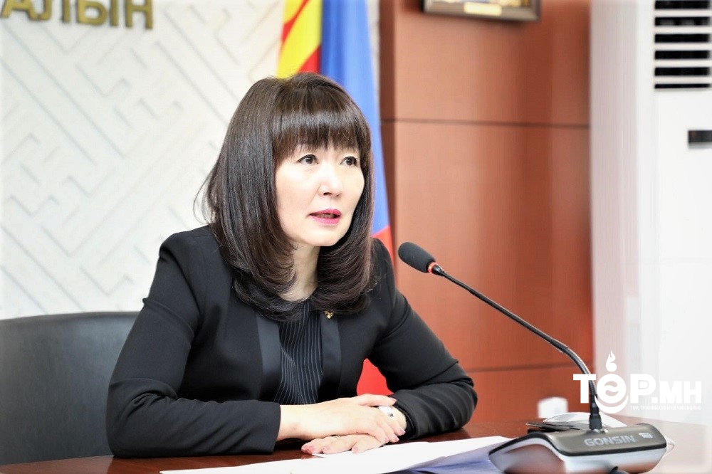 Н.Уртнасан: Жилд 25-34 тэрбум төгрөгөөс доошгүй хөрөнгийг байгаль орчныг ХАМГААЛАХ арга хэмжээнд зарцуулах ёстой