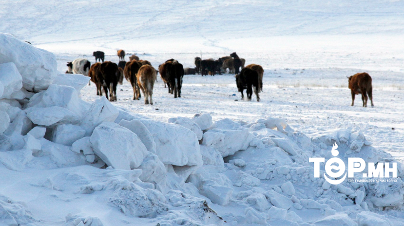 Алдуул малыг эрх бүхий этгээдэд мэдэгдэхгүй захиран зарцуулбал хулгай гэж үзнэ
