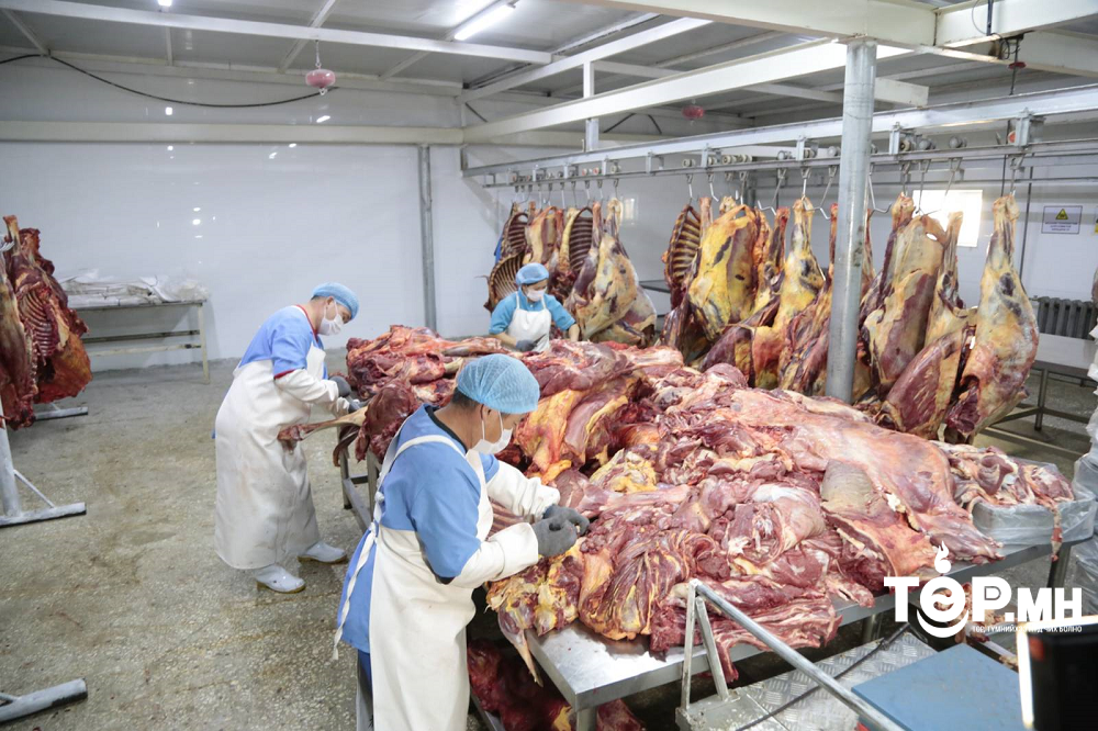 Он гарснаас хойш 6.4 мянган тонн мах экспортоллоо