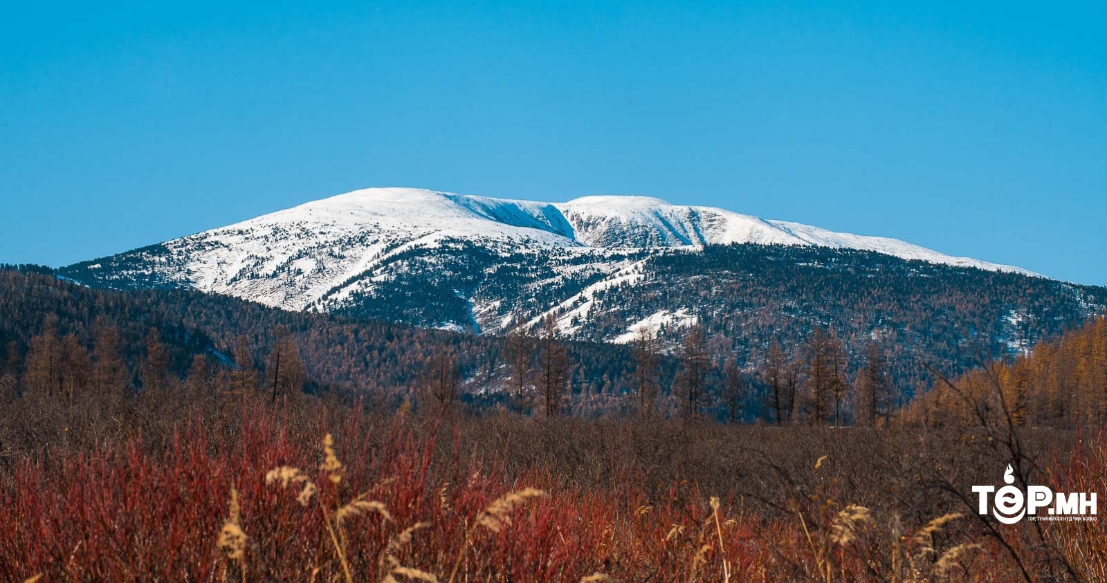 ЕТГ: Нэгдүгээр сарын 1-нд Ерөнхийлөгч Бурхан Халдун ууланд гараагүй