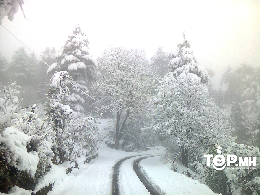 Өнөөдөр Алтайн уулархаг нутгаар цас орно