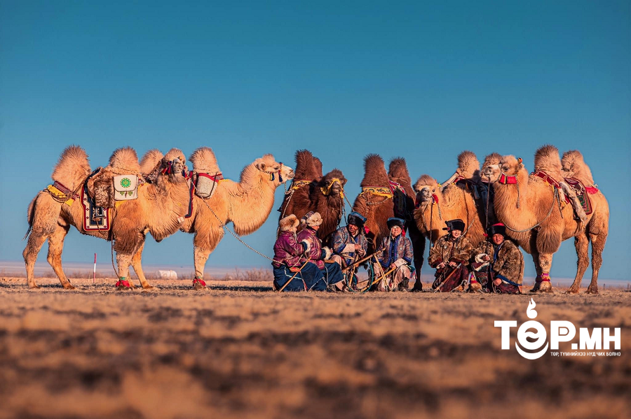 "Түмэн Тэмээний Баяр" хоёрдугаар сарын 2-нд болно