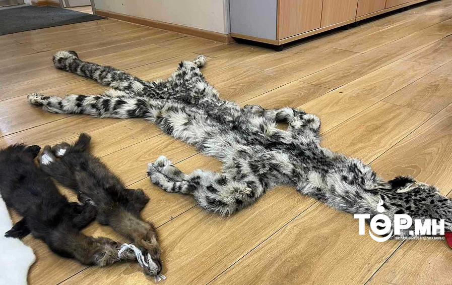 Хууль бус ангийн түүхий эдийг бусдад худалдаалах гэж байсан үйлдлийг илрүүлэн шалгаж байна