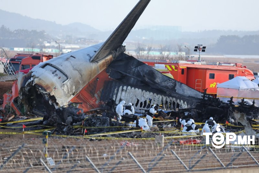 Jeju Air онгоцны хоёр хөдөлгүүрээс нугасны үлдэгдэл олджээ