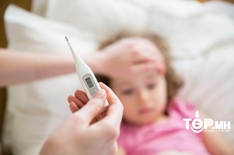 ХӨСҮТ: Томуугийн А хүрээний H1N1 вирус давамгайлж байна
