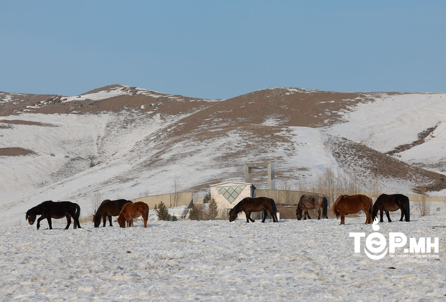 Өнгөрсөн оны жилийн эцсийн байдлаар нийслэлийн хэмжээнд 412 мянга гаруй толгой мал байна