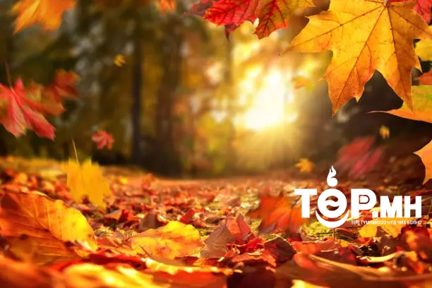 Өнөөдөр Улаанбаатарт 20 хэм дулаан