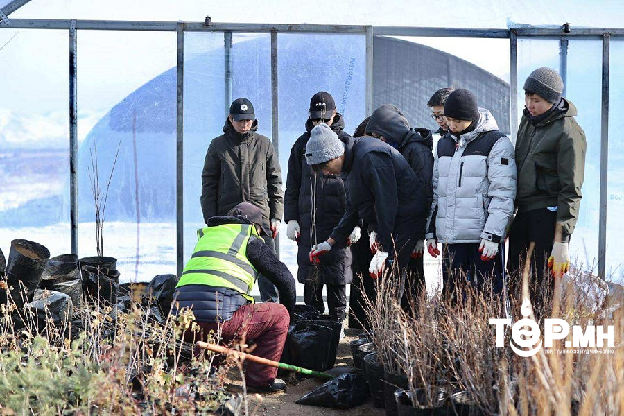 “Тэрбум мод” үндэсний хөдөлгөөний хүрээнд 117 сая мод тарьж, ургуулж байна
