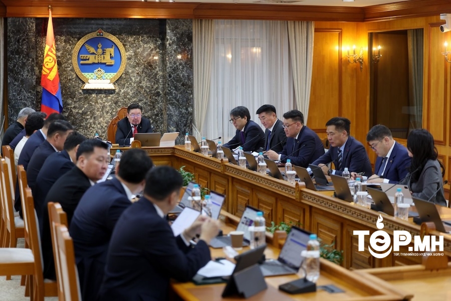 Бортээгийн ордыг эдийн засгийн эргэлтэд оруулж, хамтран ажиллах аж ахуйн нэгжийг шалгаруулна